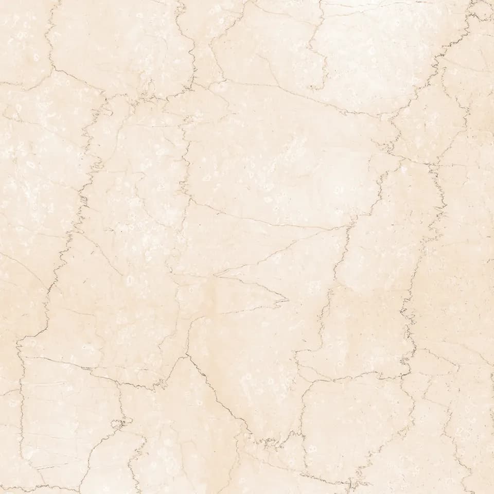 TAG Ceramic 34031 porcelain tile