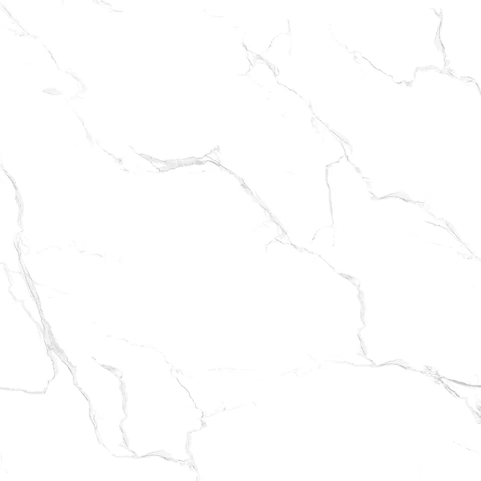 TAG Ceramic 36049 porcelain tile