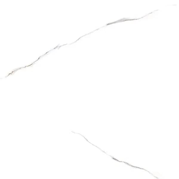 TAG Ceramic 36056 porcelain tile