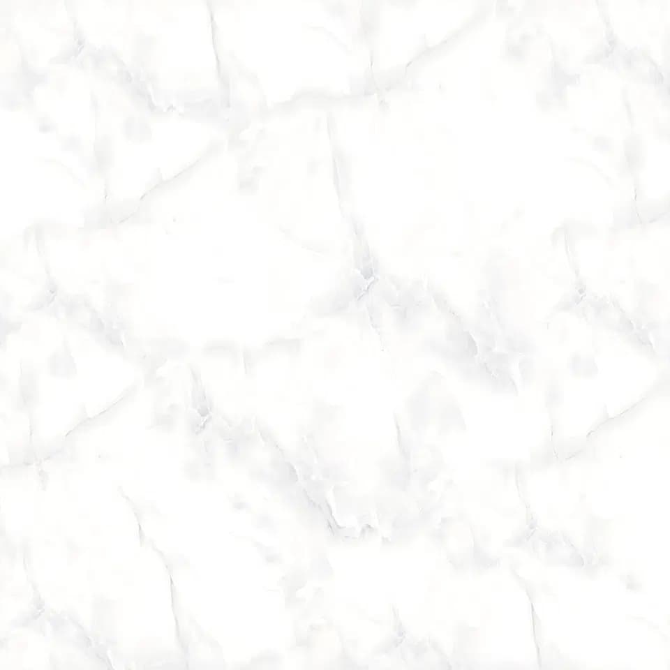 TAG Ceramic 36059 porcelain tile