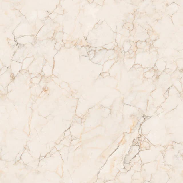 TAG Ceramic 36502 porcelain tile