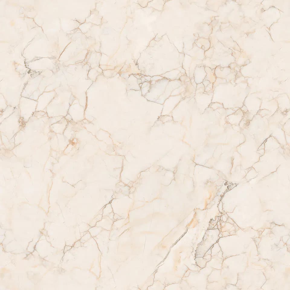TAG Ceramic 36502 porcelain tile