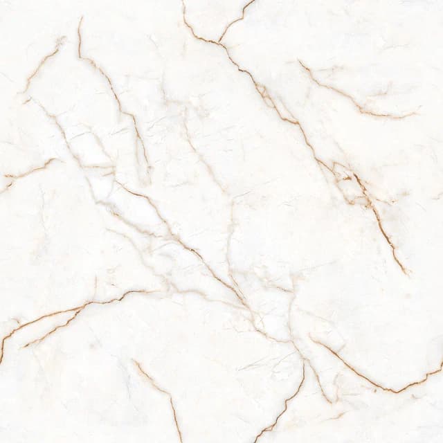 TAG Ceramic 36503 porcelain tile