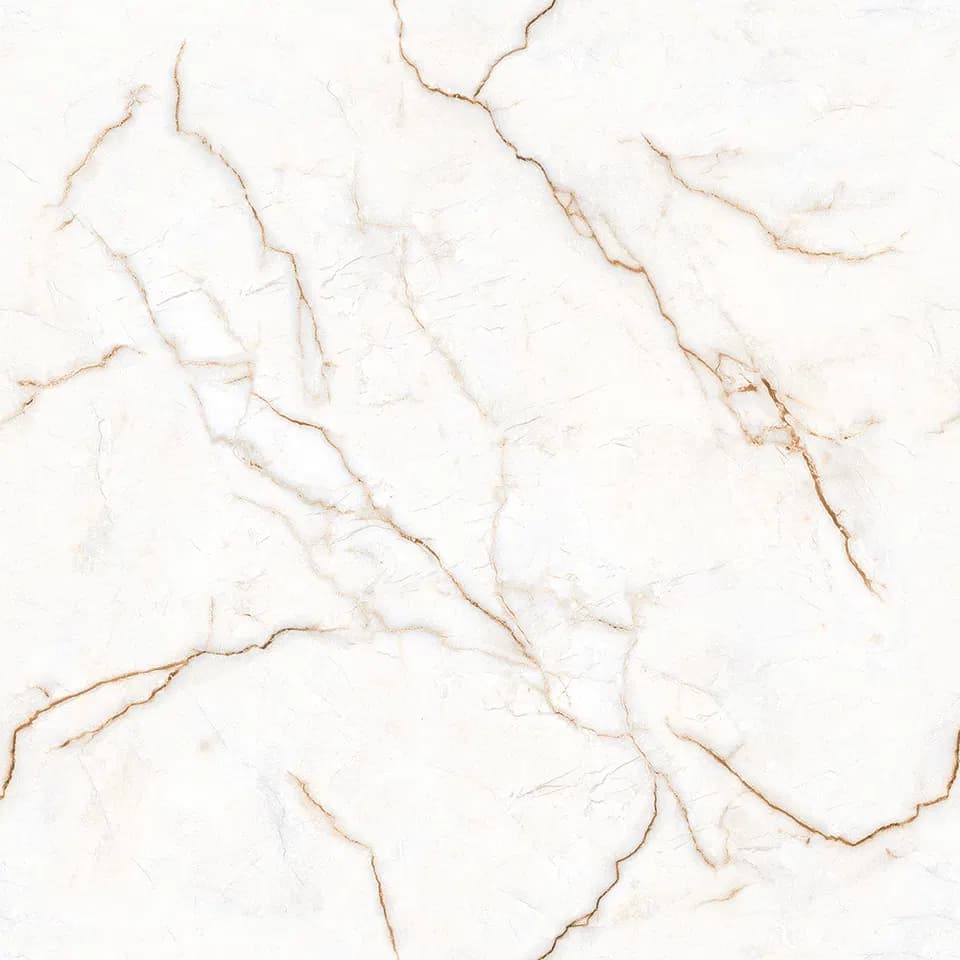 TAG Ceramic 36503 porcelain tile