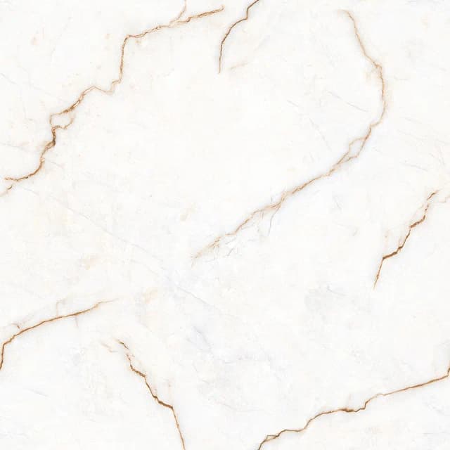 TAG Ceramic 36503 porcelain tile