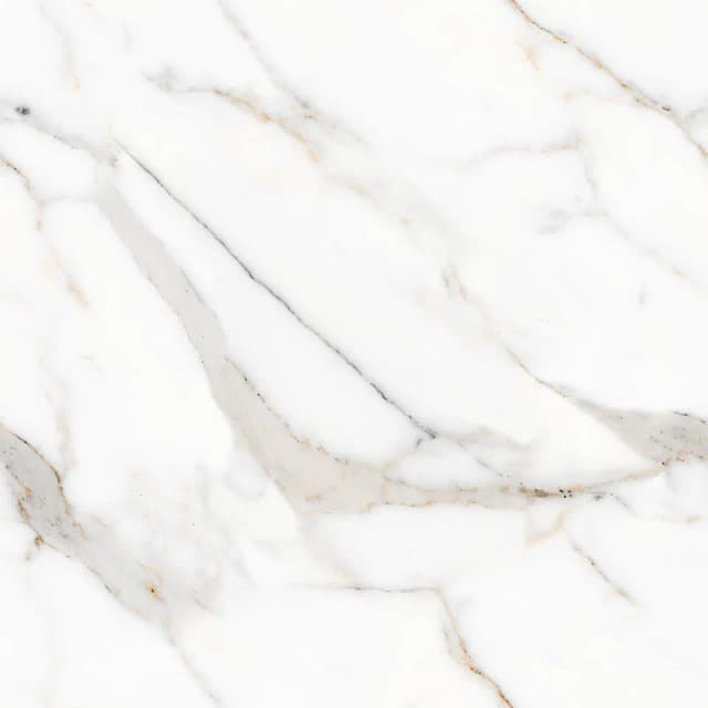 TAG Ceramic 36504 porcelain tile