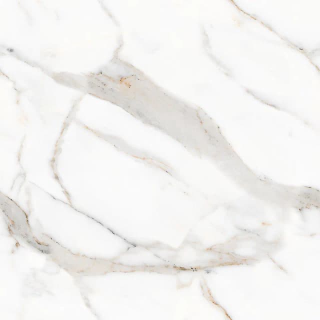 TAG Ceramic 36504 porcelain tile