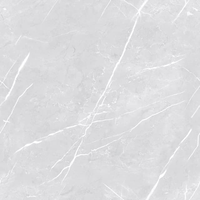 TAG Ceramic 36505 porcelain tile