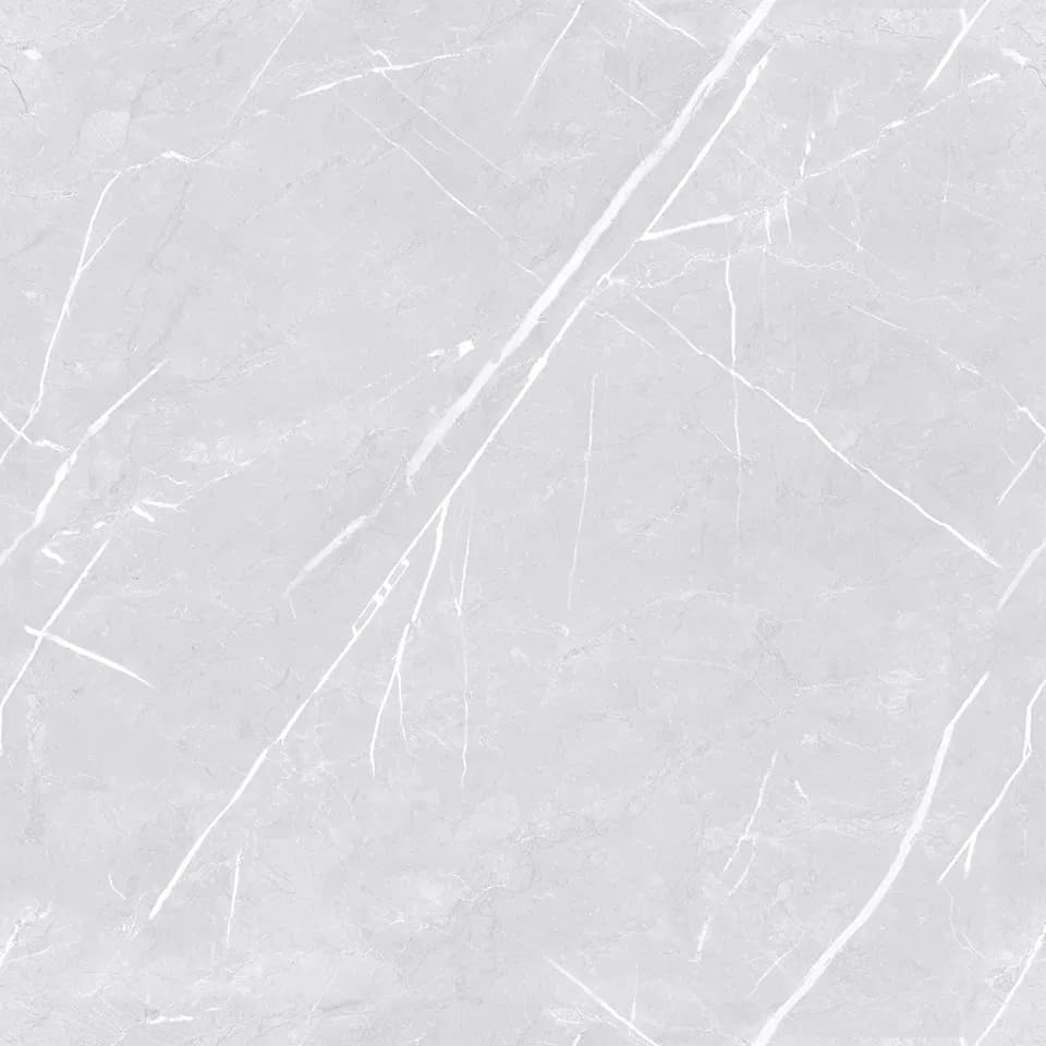 TAG Ceramic 36505 porcelain tile