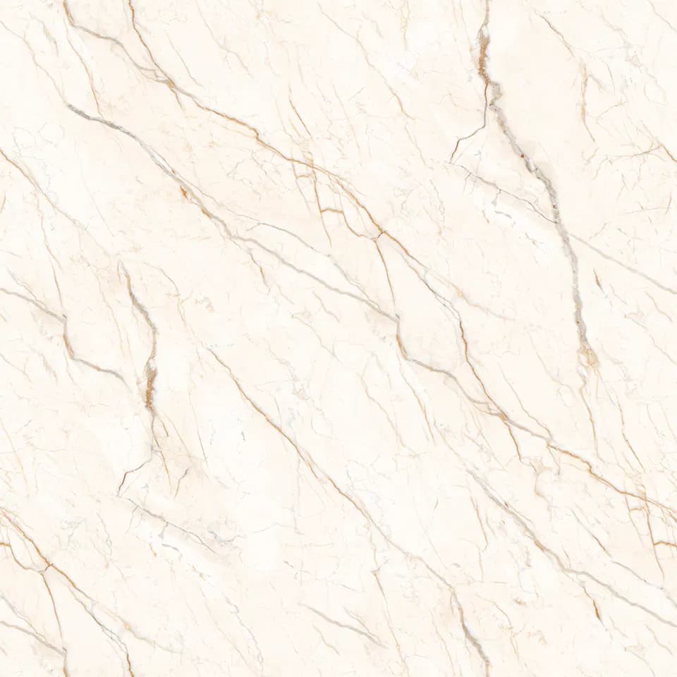 TAG Ceramic 36508 porcelain tile