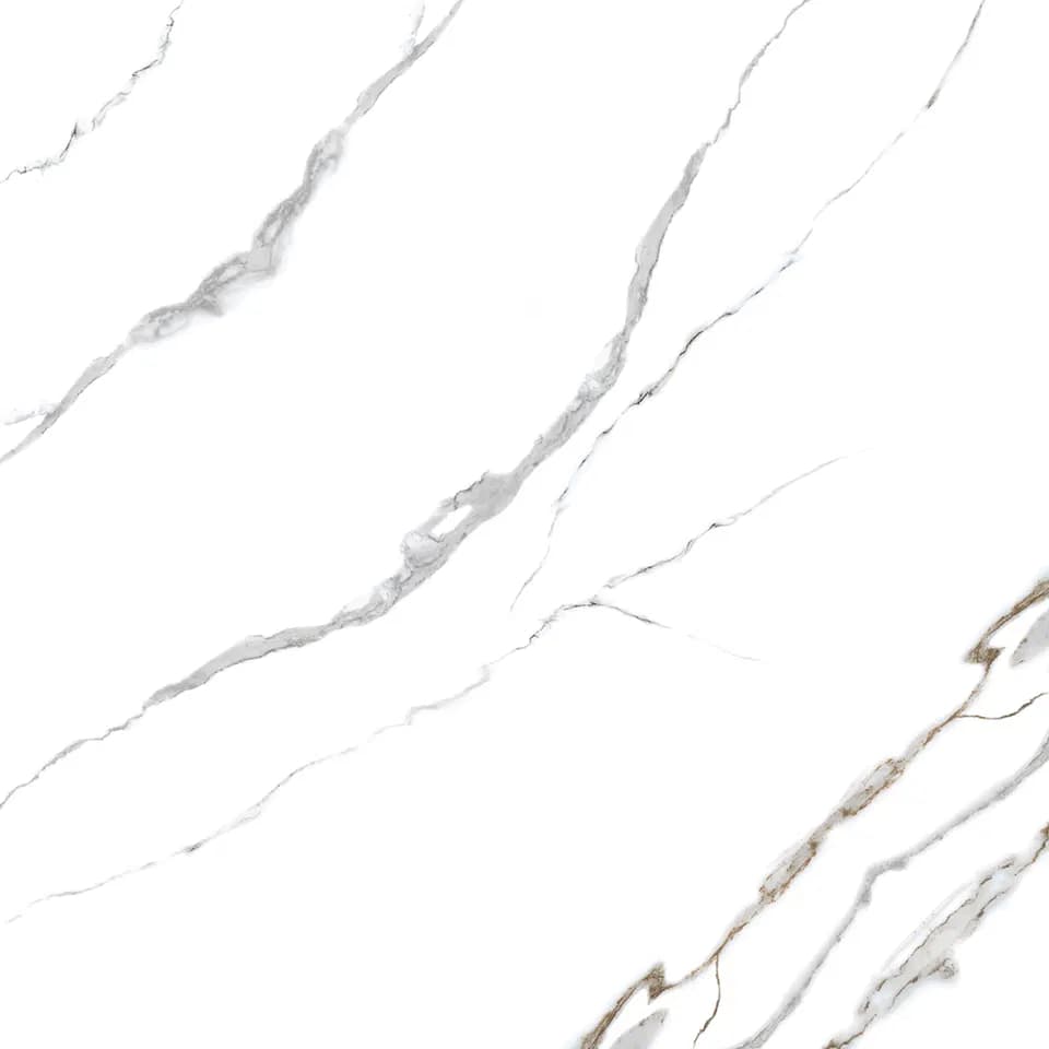 TAG Ceramic 36601 porcelain tile
