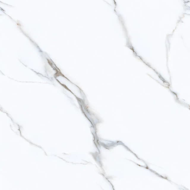 TAG Ceramic 38124 porcelain tile