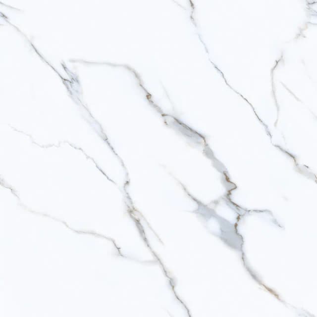 TAG Ceramic 38124 porcelain tile